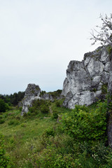 Rock formation in Krakow Czestochowa Upload. Polish Jurassic Highland.
