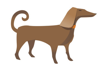 vector icon