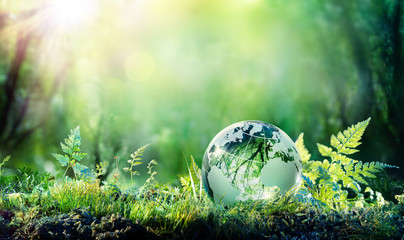 Fototapeta Globe On Moss In Forest - Environmental Concept
 obraz