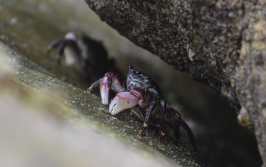 Hidden