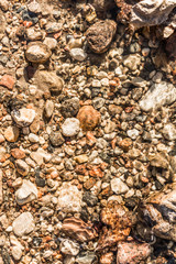 sand, stones of different size and leaves under the water in the sunlight, abstract background