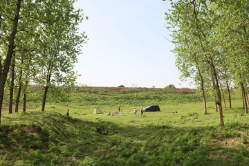  Dongting wetland scenery.