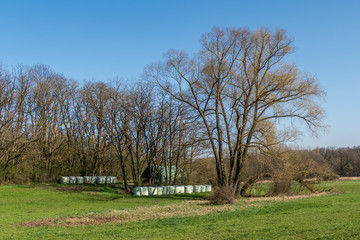 Strohrollen auf dem Feld