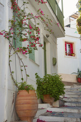 Fototapeta na wymiar Narrow street with stairs and flowerpots at Skopelos town, Skopelos island in Greece