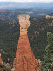 Hoodoo in bryce