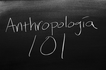 Obraz premium The words Antropología 101 on a blackboard in chalk