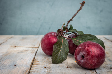 Branch of delicious red plums on a background.