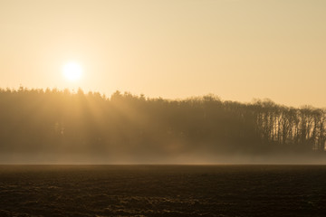 country landscape in the morning in the mist