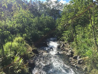 Camino de agua