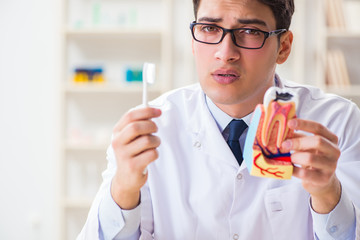 Young dentist working in the dentistry hospital