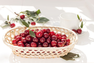 Cherries in  wicker basket on white background. Red berry still life