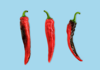 Flat lay red chili peppers pattern on ligh blue t background. Top view. Abstract