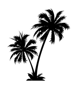 icon palm tree 