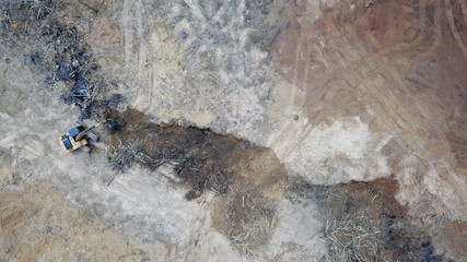 Deforestation. Environmental destruction of rainforest. Borneo forest destroyed for oil palm plantations  