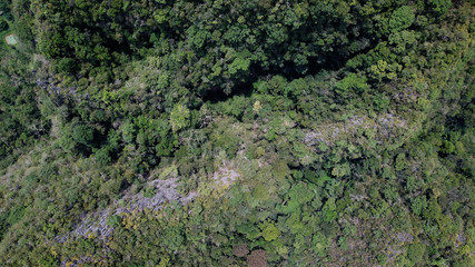 Rainforest and mountain environment, aerial photo
