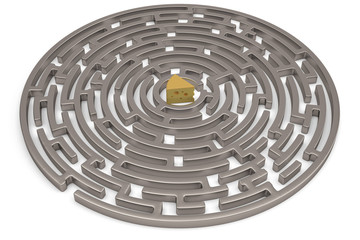 Maze with cheese isolated on white background. 3D illustration.