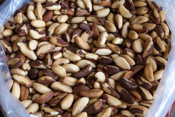 Brazil nuts for sale on the market.