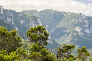 Planos monta&ntilde;a