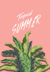 Summer tropical background. Palm and banana leaves