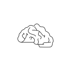 brain icon. Element of idea and solutions for mobile concept and web apps. Thin line  icon for website design and development, app development. Premium icon