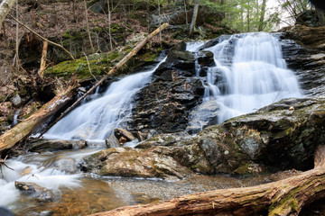 Fallen tree at the base of Carpenter Falls