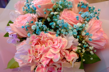 Flower bouquet with colorful Gypsophila and pink Hydrangea macrophylla  flower