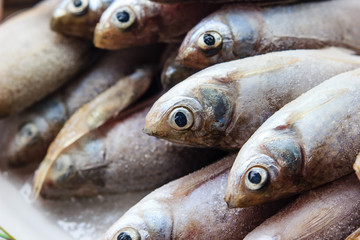 Fresh fish on ice at the market