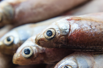 Fresh fish on ice at the market