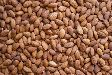 The harvest of almonds.