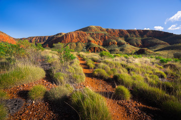 Walking Trail