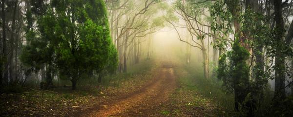 Garden Path