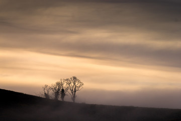 Fototapeta na wymiar Moody Mist