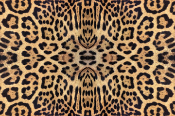 Colorful patterns and textures of the jaguar for the background. © MrPreecha