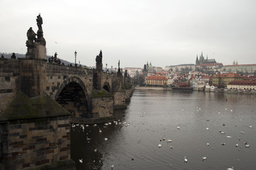 Fototapeta na wymiar Prague bridge