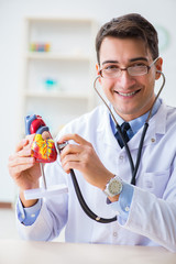 Doctor explaining the heart model 