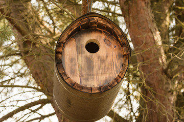 Wiedehopfbrutröhre © biggi62