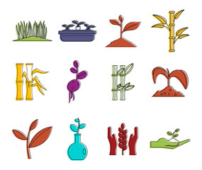 Plant icon set, color outline style