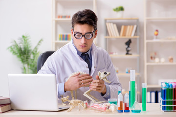 Funny scientist with cat skeleton in lab clinic