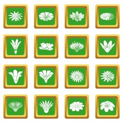 Detailed flower icons set green square vector