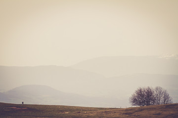 Randonnée dans le brouillard