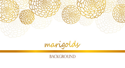 Vector white banner with golden marigolds