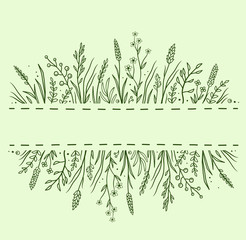 green background with herbs and flowers