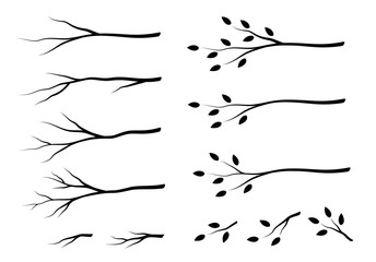 set of isolated tree branches with leaves