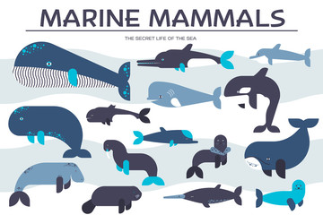 Sea mammals animal collection icons set. Vector fish illustration in ocean life background. Marine exotic creature flat design 