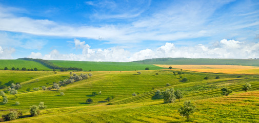 Fototapeta na wymiar Green field and blue sky. Picturesque hills formed by an old river terrace. Moldova. Wide photo.