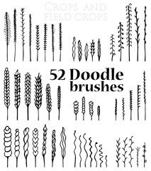 Set of Doodle brushes in the form of spikelets and grass and twi - 199893195