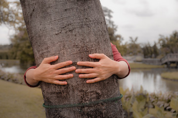 Hands embracing around the trunk of a tree.