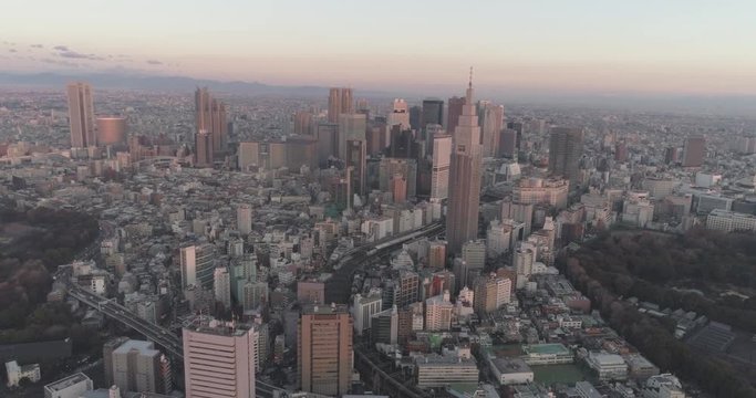 Tokyo aerial view 12