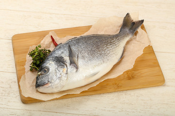 raw dorada fish