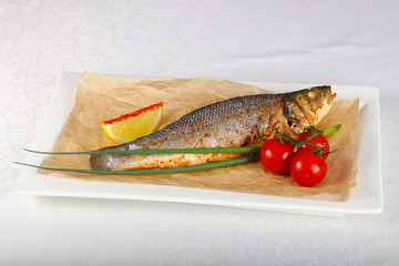 Seabass fish